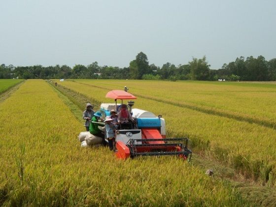 Tiền Giang: Phát huy vai trò chủ thể của người dân