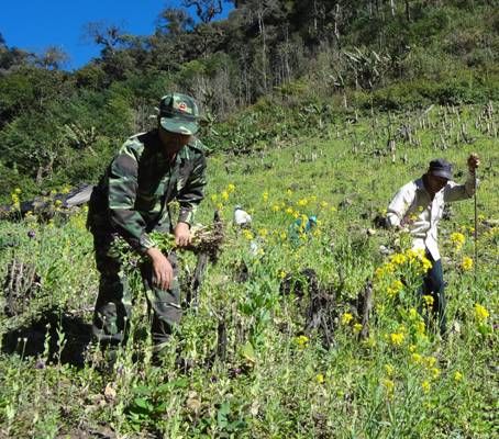 Trạm Tấu (Yên Bái): Gian nan "cuộc chiến" loại bỏ hủ tục lạc hậu