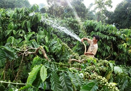 Khoa học công nghệ - giải pháp tích cực trong xây dựng Nông thôn mới