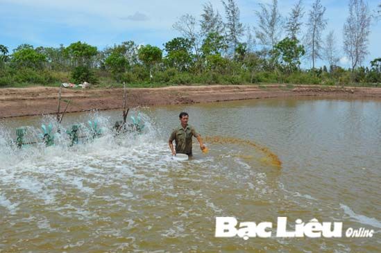 Bạc Liêu: Phòng dịch bệnh cho mùa tôm mới 