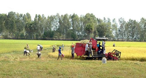 Kiên Giang: Khởi sắc vùng nông thôn Vĩnh Phú 