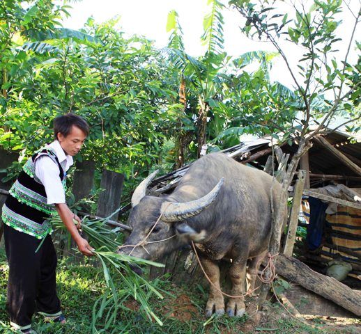 Hộ nghèo được vay vốn hỗ trợ nhà ở thời gian dài và mức vay cao hơn