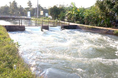 Phú Yên: Hiệu quả trong công tác phòng chống hạn 