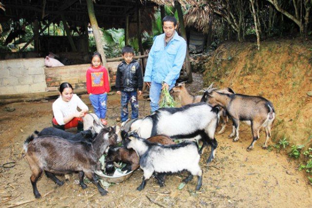 Năm 2016, hộ nghèo dân tộc thiểu số tiếp tục được vay vốn ưu đãi