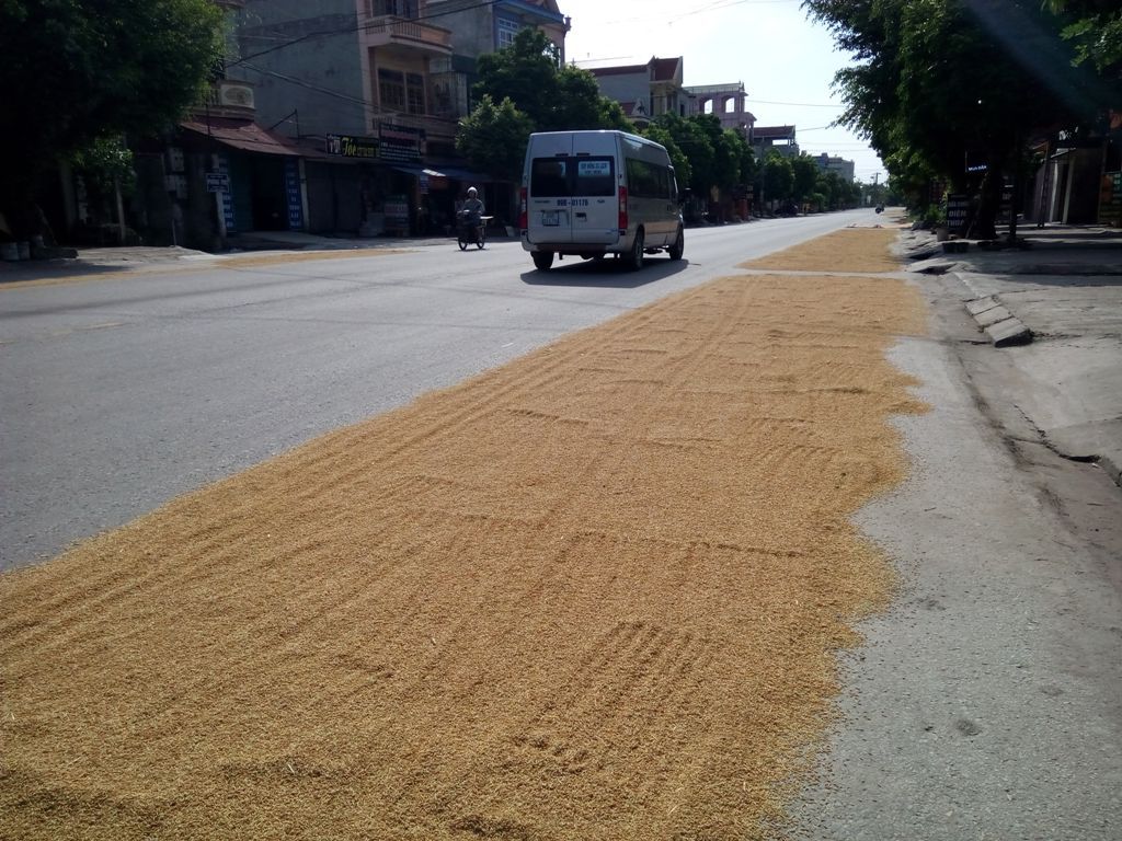 Hà Nam: Cần xử lý nghiêm tình trạng cứ mùa gặt là quốc lộ thành "sân phơi"