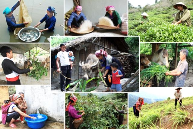 Tăng cường cho vay các chương trình giảm nghèo