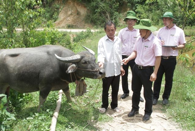 Điện Biên đổi thay từng ngày