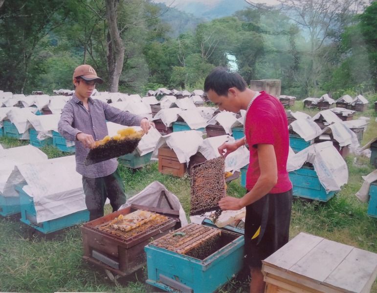 Ngân hàng Chính sách xã hội với xoá đói giảm nghèo ở Tây Bắc