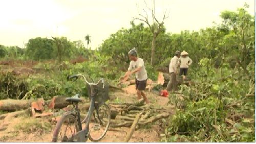 Nhiều hộ dân nhanh chóng bàn giao mặt bằng cho cầu Hưng Hà