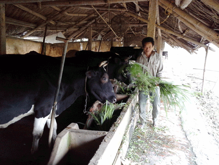 Vĩnh Phúc triển khai có hiệu quả chính sách tín dụng đối với hộ nghèo, cận nghèo 