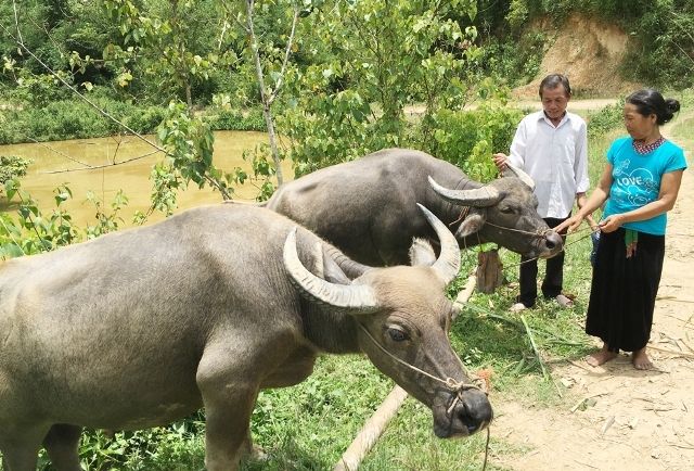 Hỗ trợ vay vốn tín dụng ưu đãi, đất ở, đất sản xuất và nước sinh hoạt với các hộ thuộc diện khó khăn tại khu vực III