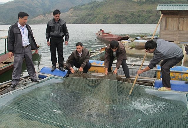 Huyện Quỳnh Nhai (Sơn La) xây dựng nông thôn mới