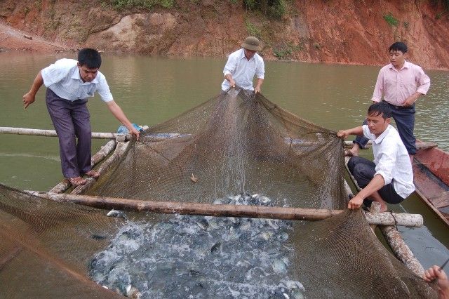 Sơn La: Phát huy vai trò hợp tác xã kiểu mới trong phát triển nông nghiệp, nông thôn