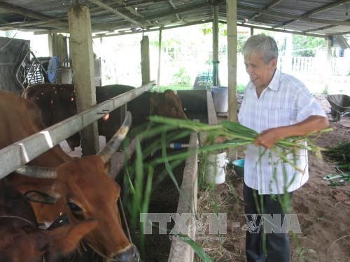 Mở hướng đi mới, giúp nông dân chuyển đổi cây trồng, phát triển kinh tế