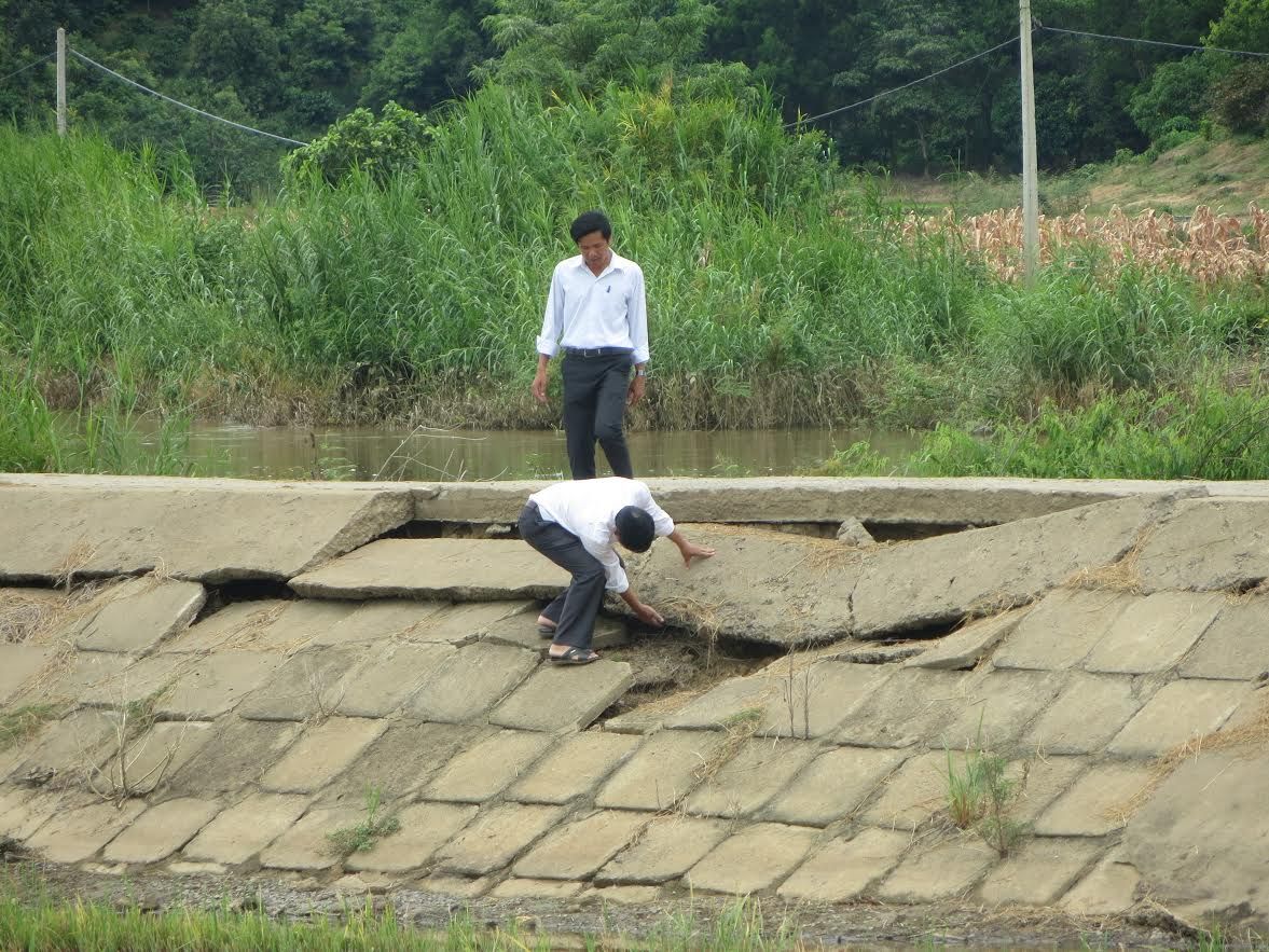 Đê bao chống lũ Quảng Điền (Đắk Lắk) đang bị sạt lở nghiêm trọng