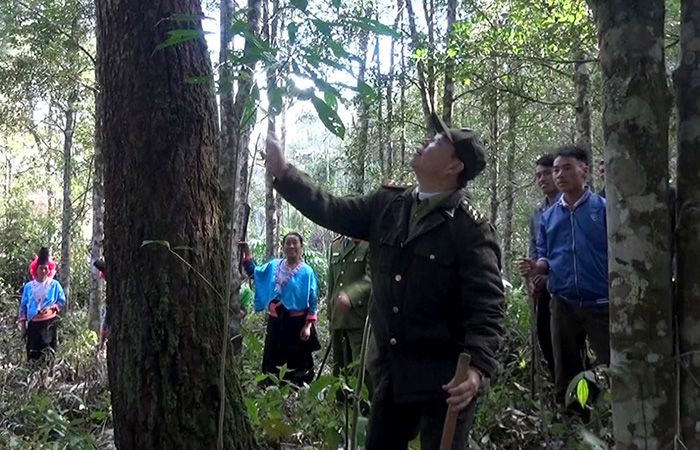 Tăng cường sự lãnh đạo của Đảng đối với công tác quản lý, bảo vệ và phát triển rừng