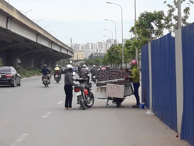 Hoa quả "đặc sản" 3 miền bày bán trên nhiều tuyến phố Hà Nội có đảm bảo chất lượng?