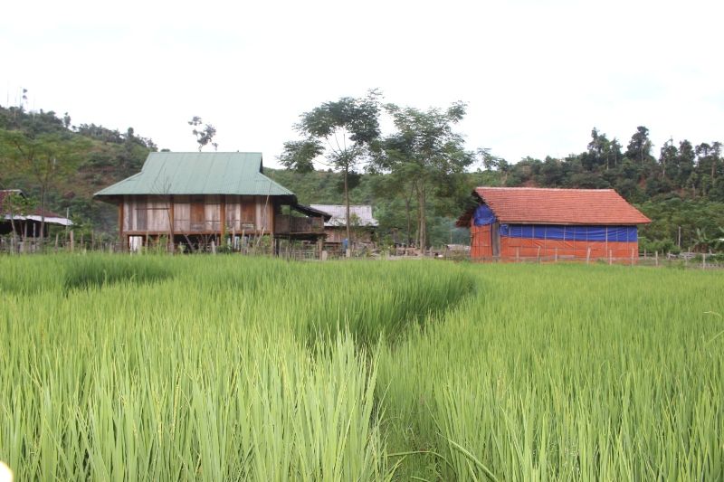 Ngày mới ở Nghĩa Đô (Bảo Yên, Lào Cai)