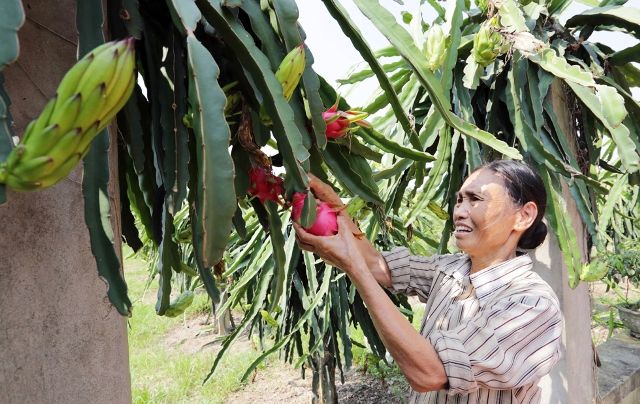 “Hội, đoàn thể - cầu nối đưa vốn tín dụng chính sách đến với người nghèo”