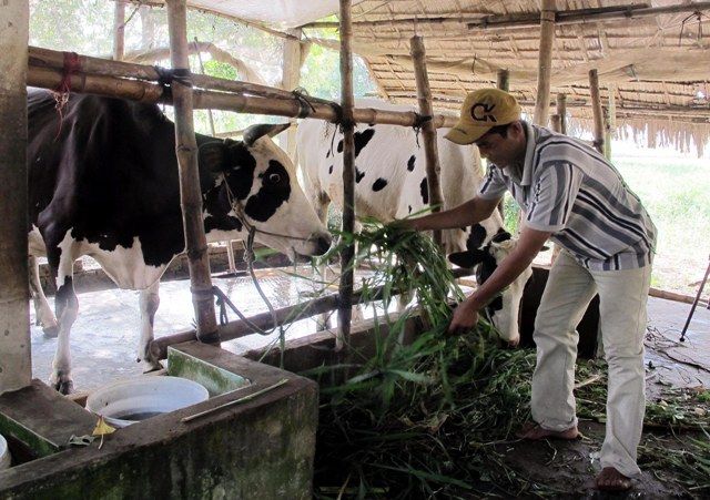 Nơi “cứu cánh” cho người nghèo