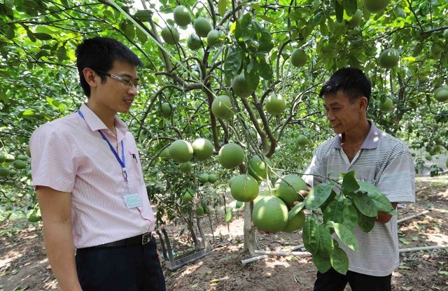 Ngân hàng chính sách xã hội đã và đang đáp ứng ngày càng tốt hơn nhu cầu vay vốn tín dụng