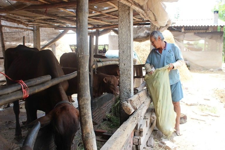 Vĩnh Phúc: Triển khai phong trào thi đua “Cả nước chung tay vì người nghèo – không để ai bị bỏ lại phía sau”