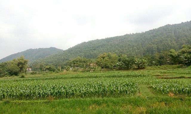 Vĩnh Phúc: Xung quanh tranh cãi dừng hay xây dựng khu công viên nghĩa trang tại khu vực Núi Ngang 