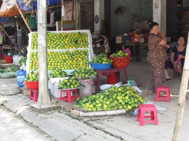 Lần đầu tiên tổ chức Lễ hội cam Hưng Yên