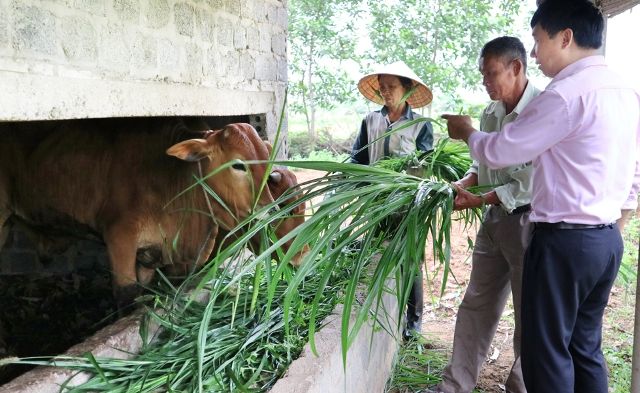 Bố Trạch, Quảng Bình: Khi phụ nữ sử dụng vốn vay hiệu quả