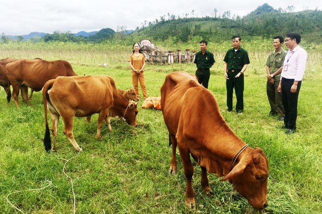 Xuân này về nơi cát sỏi cũng nảy mầm no ấm