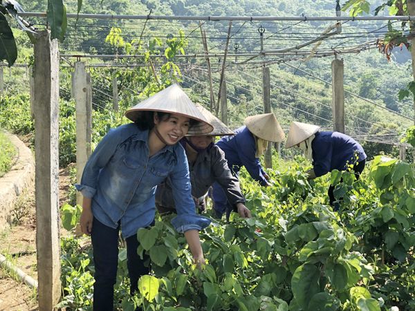 Những “điểm sáng” của vùng quê sau 10 năm sát nhập về Thủ đô