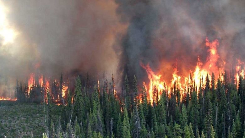 Canada ban bố tình trạng khẩn cấp vì cháy rừng ở British Columbia