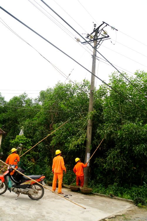 Quảng Ngãi báo động vi phạm hành lang an toàn điện