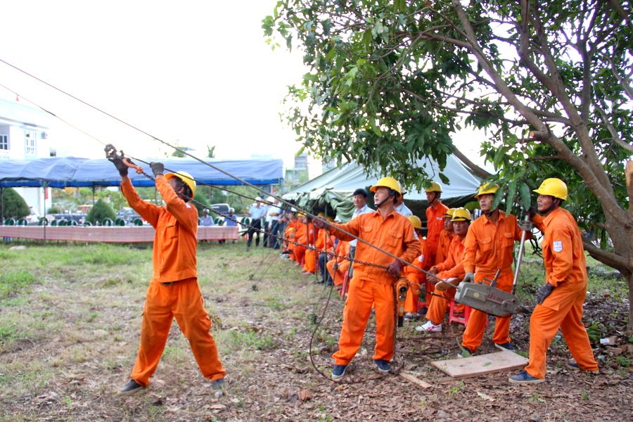 Diễn tập phòng chống thiên tai và tìm kiếm cứu nạn tại điện lực Bình Định