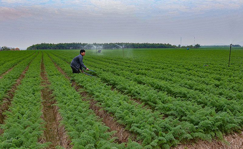 Bắc Ninh: Hỗ trợ nông dân xây dựng các mô hình phát triển kinh tế