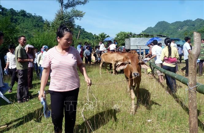 Hơn 20.000 tỷ đồng khó thu hồi, suy ngẫm về “Ngày vì người nghèo” 