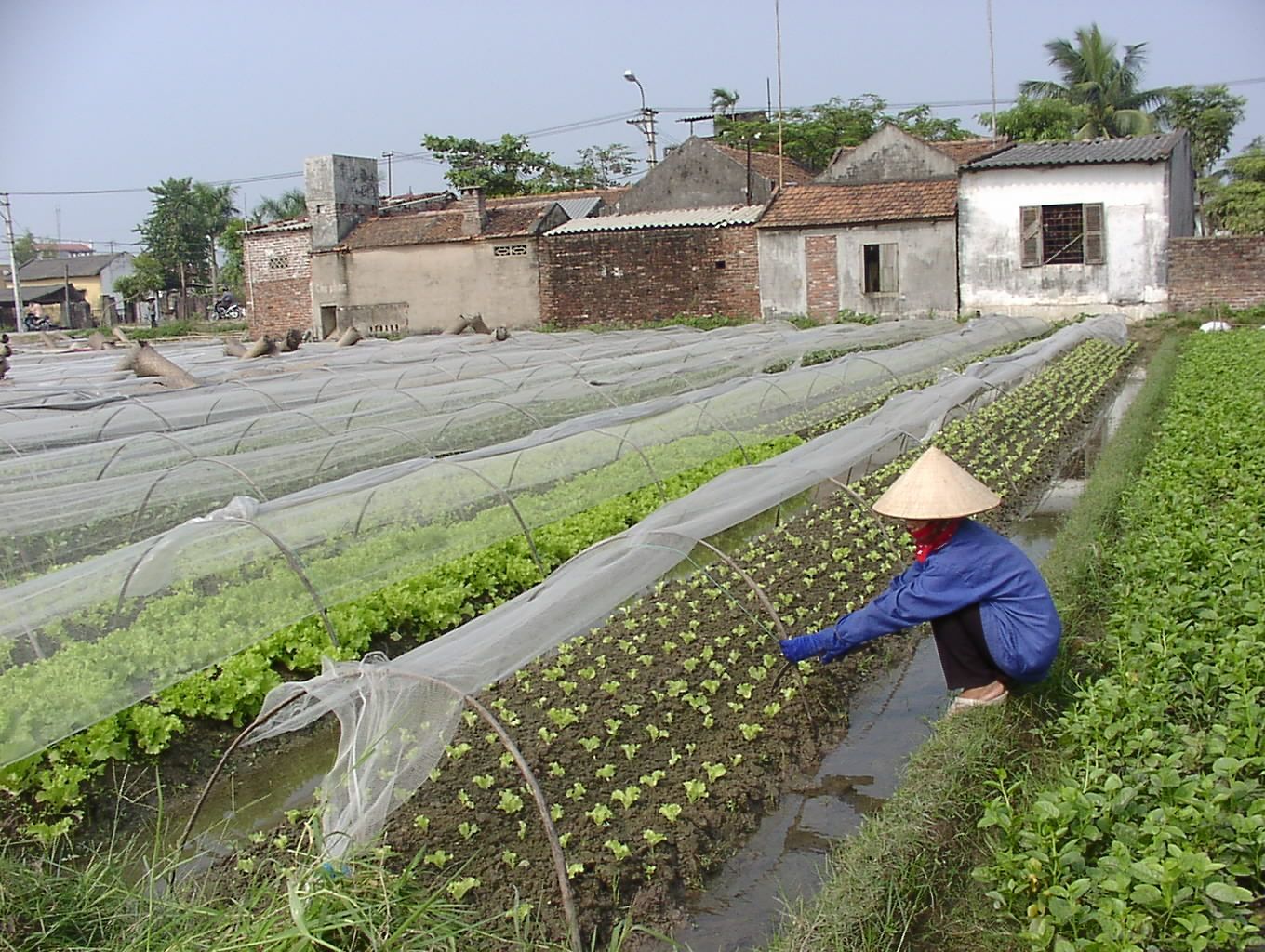 Vĩnh Phúc: Phấn đấu hướng tới thoát nghèo bền vững