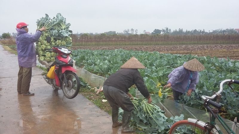 Không thể chỉ hô hào!