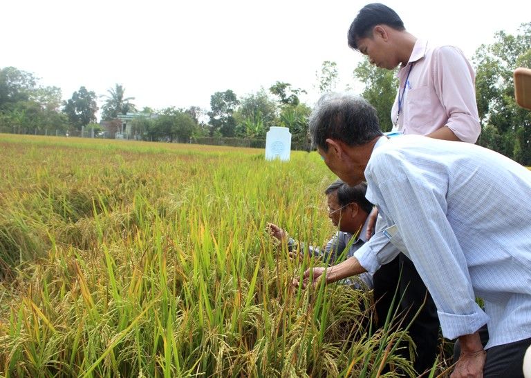 Lập Thạch (Vĩnh Phúc): Tập trung chỉ đạo quyết liệt cho công tác sản xuất nông nghiệp năm 2019