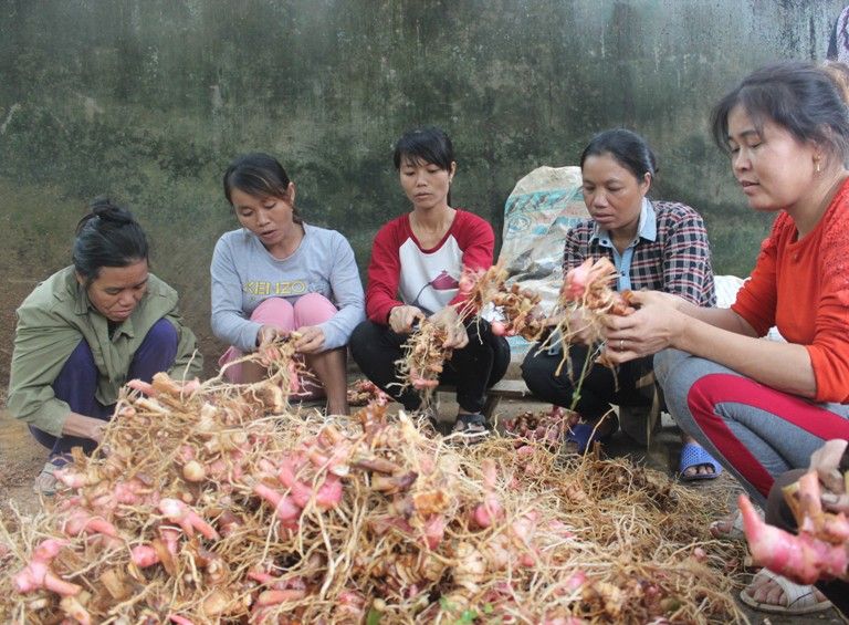 Tam Đảo (Vĩnh Phúc): Chủ động triển khai giải thể các Hợp tác xã nông nghiệp ngừng hoạt động