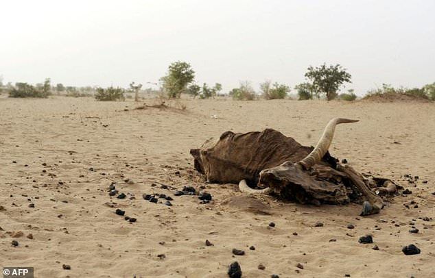 Các nước vùng Sahel đối phó với biến đổi khí hậu