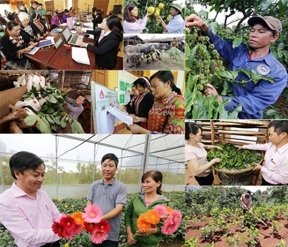 Từ ngày 01/3/2019, hộ nghèo được vay tối đa 100 triệu đồng