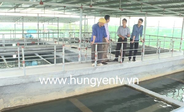 Hưng Yên: Cần sự đồng thuận cao của chính quyền, người dân trong cấp nước sạch