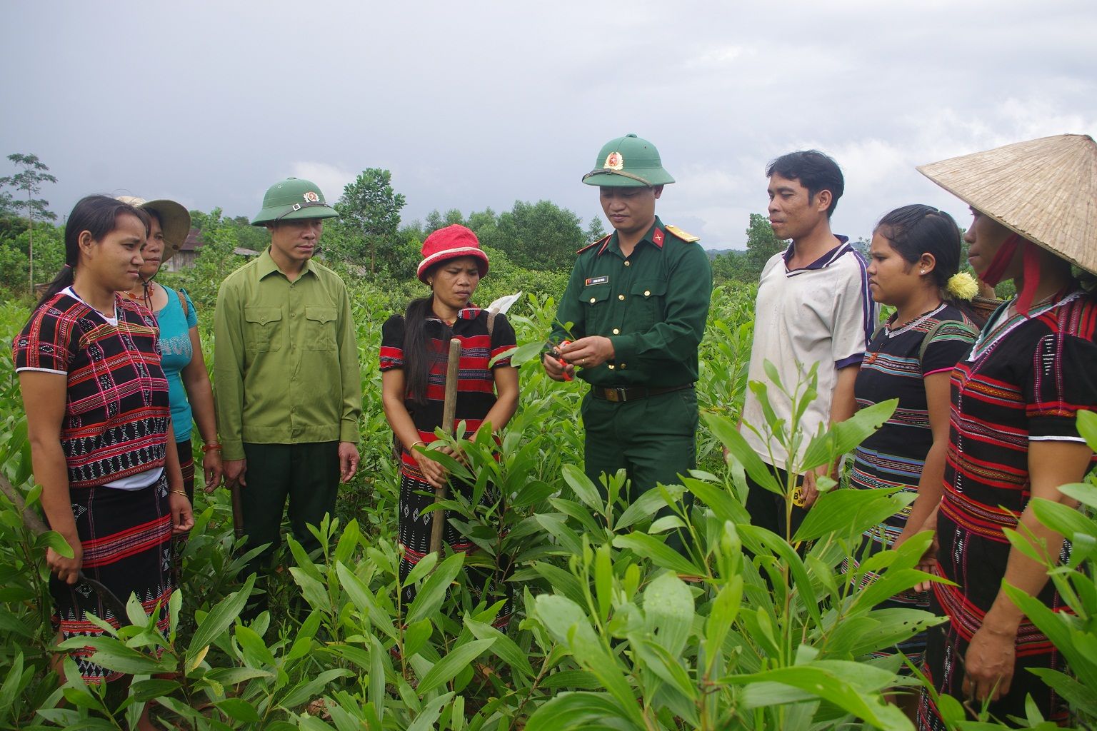 “Bộ đội Cụ Hồ” nơi vùng cao A Lưới