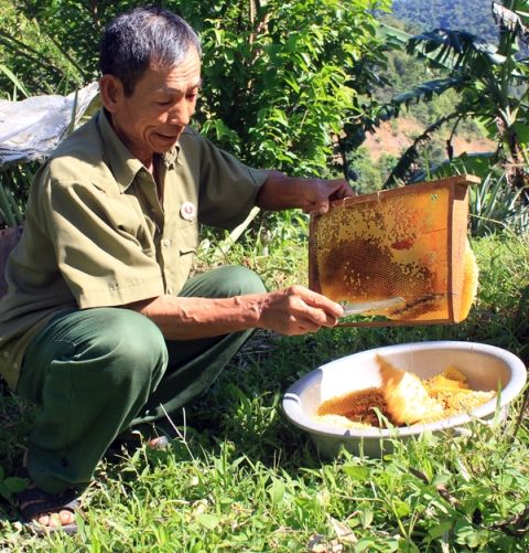 Vốn chính sách giúp cựu chiến binh Lạng Sơn thoát nghèo