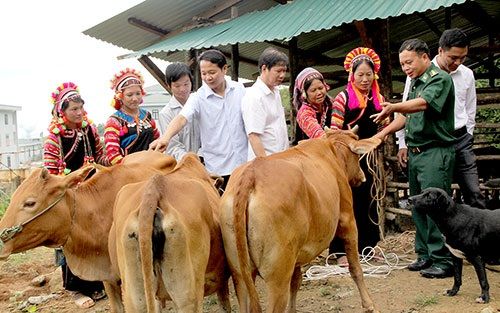 Lời giải bài toán giảm nghèo ở Lai Châu