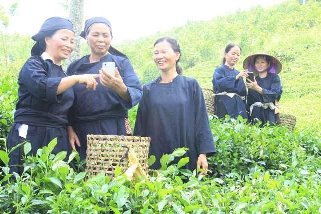 “Giáo dục tài chính cho hộ nghèo và đối tượng chính sách qua điện thoại di động”