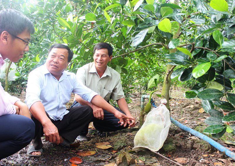 Cần Thơ: Triển khai hiệu quả nguồn vốn vay từ Quỹ quốc gia về việc làm