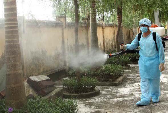 Tăng cường phòng chống sốt xuất huyết Dengue