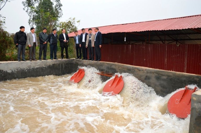 Vĩnh Phúc: Xây dựng phương án gieo cấy vụ Đông Xuân năm 2019-2020